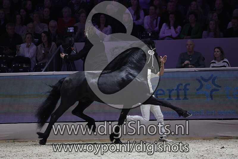 Nane 492 v. Wimer 461