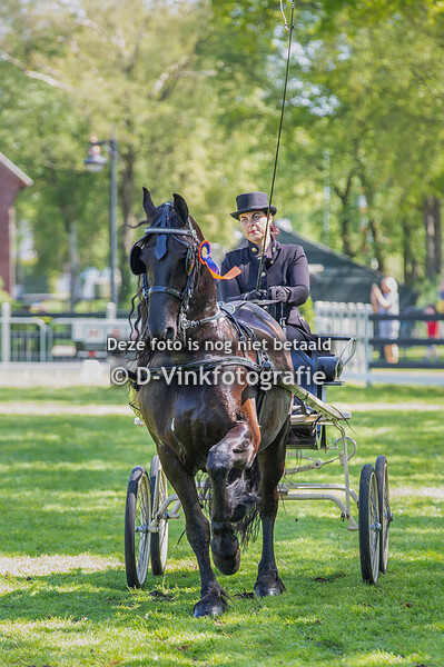 03. limietklasse regio noord