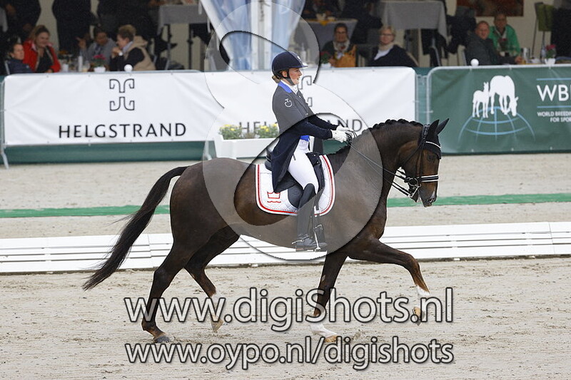 Blue Hors Touch of Olympic L