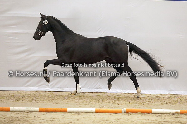 396 Robert Downey JR PP (Ibiza x Mellevanck)