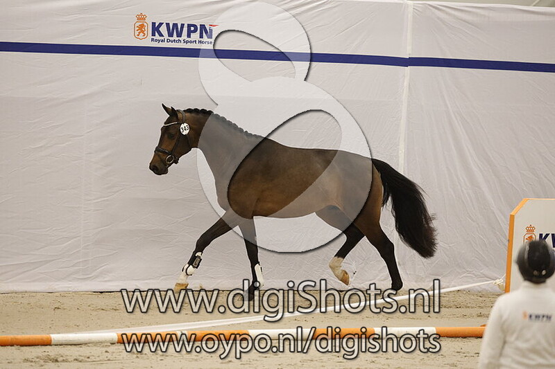 Socrates KS v. For Romance