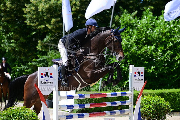 Ellen Zwijnenberg - Medanga OMHG