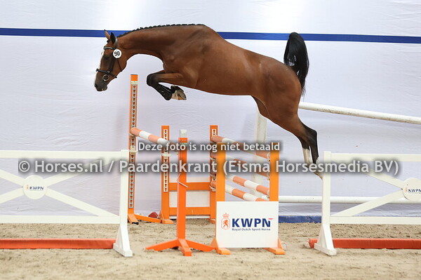 90 Soleil de Lys (Newmarket x Fleur de Lys v. Floris)