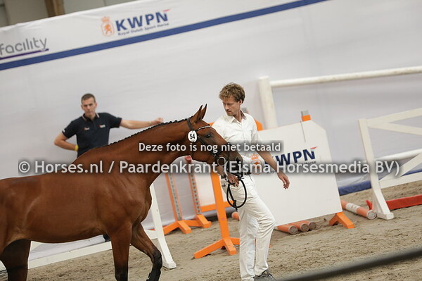 54 Pooh-Bresco (Eldorado van de Zeshoek. First Buresco v. Ginus)