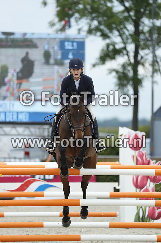 nathalie van der mei