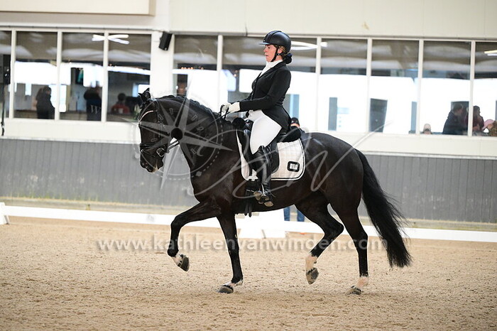 Marlon Galesloot - Nuit Noire