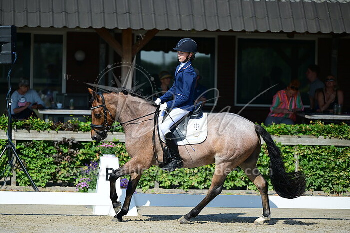Fleur Annokkee - Holthousen Cardolan