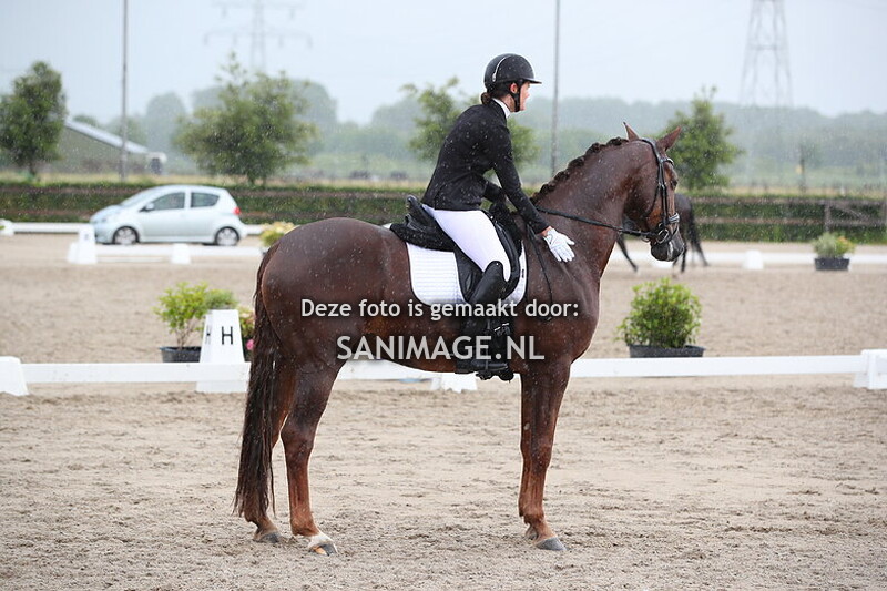 Zilfia's Hoeve Dressuur 16-06-2024 Ring 2 13.30-14.45 uur