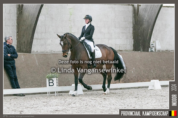 Prov dress indoor 2024