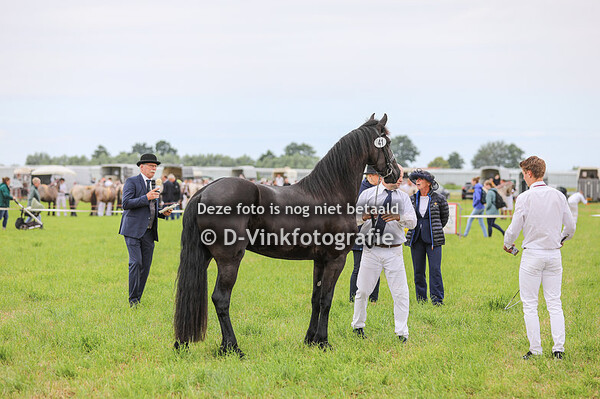 41. Lilja van het Barfot