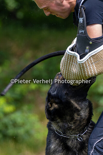 Biff Benneth met Ko de wittehond pakwerk