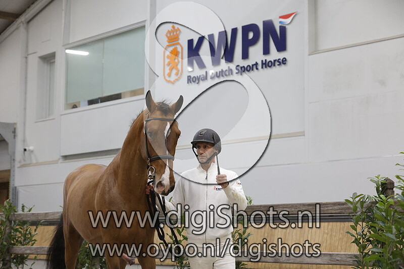 Ruzgar Iii S v. Latif V S - 103