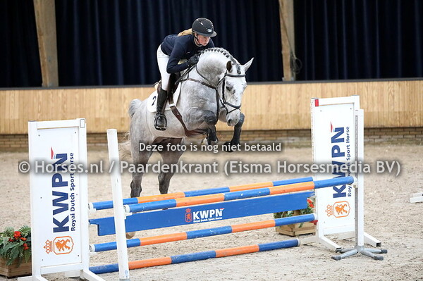 KWPN najaarsonderzoek 21-22 Springhengsten