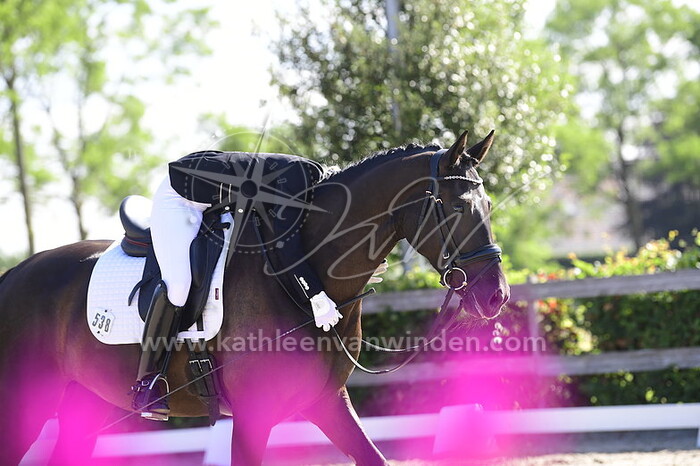 Tamara Vos - Notre Dame