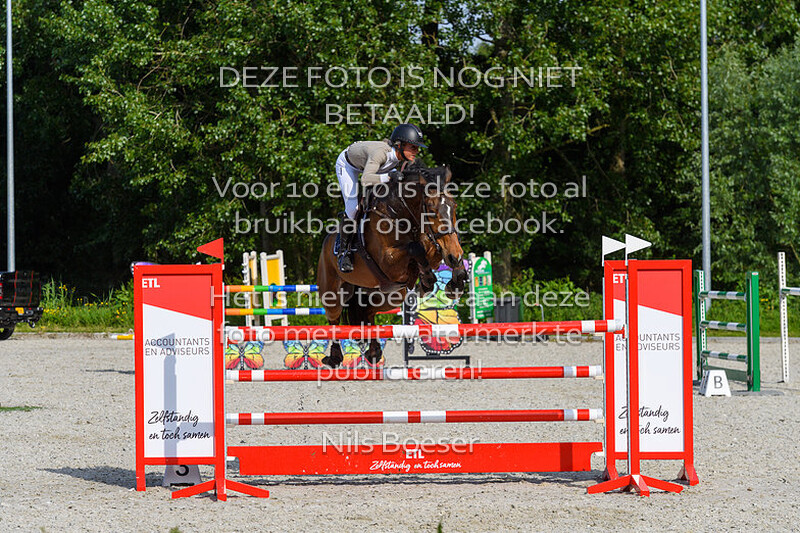 6 Paarden 130 Barrage