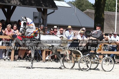 Nationale Tuigpaardendag 2024