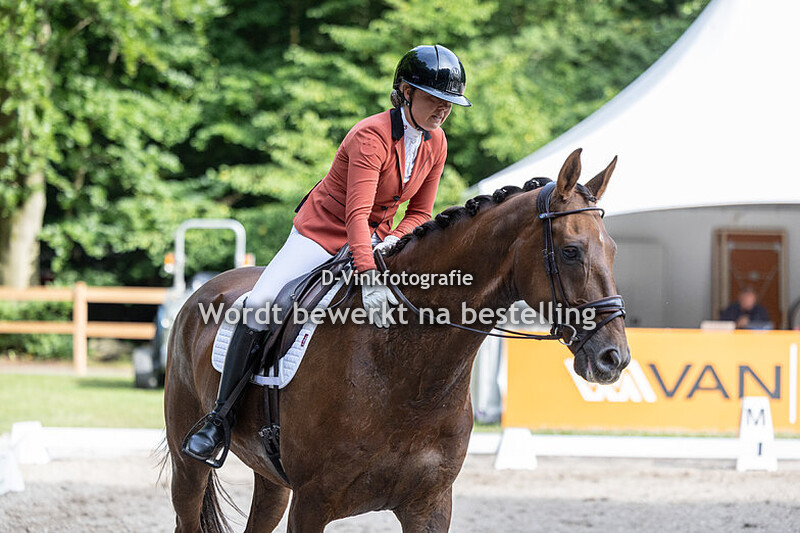 Parel van Rooijen - Golden Prince
