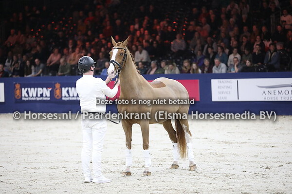 03-02-2024 tuigpaardavond Showblokken, huldigingen en oudere hengsten