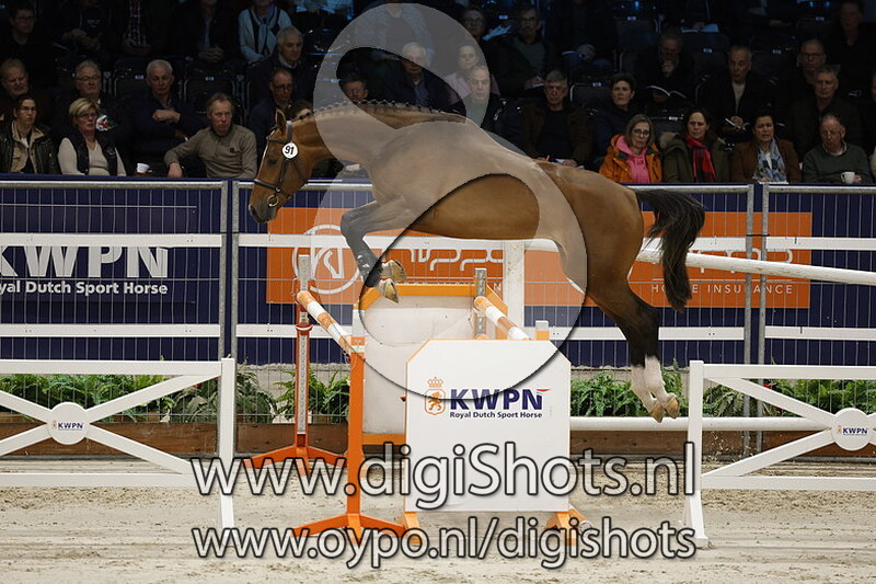 Romario v. Kitt Sb - 091