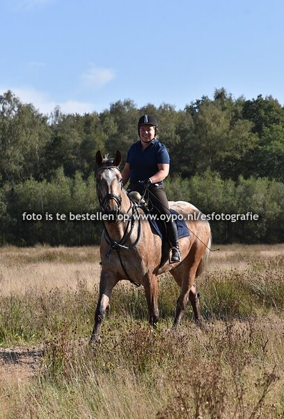 10-9-2025 P4D Zorgvlied bij Oude willem