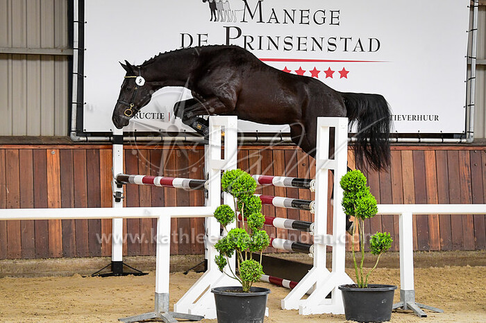 2024-04-06 VWF Prinsenstad Delft