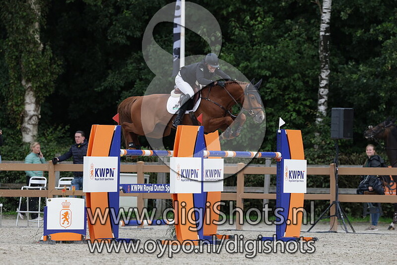 Sambucci de muze VDL