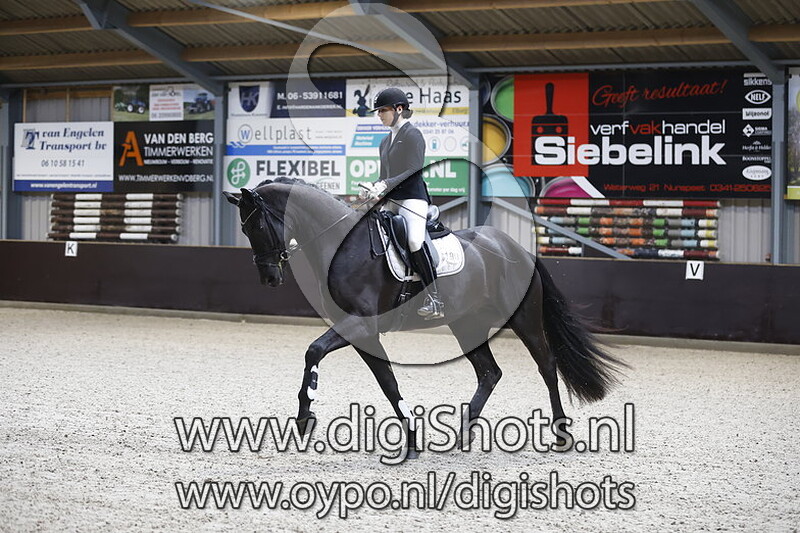 PS I Love You v. Fontaine TN