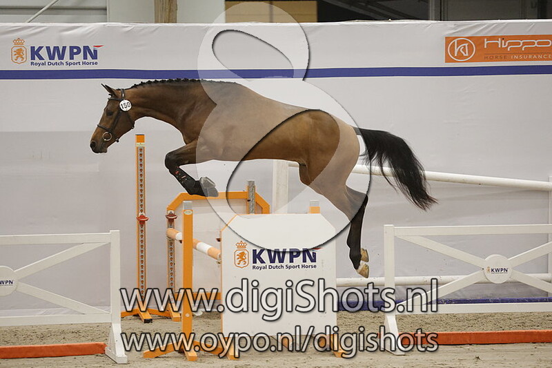 Raspoetin v. United Touch S - 150