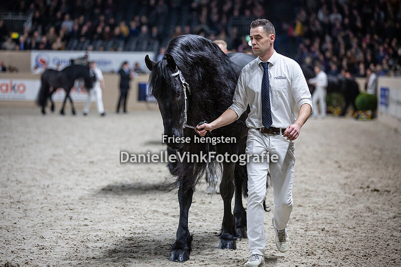 Hengstenkeuring 2020 Julius 486