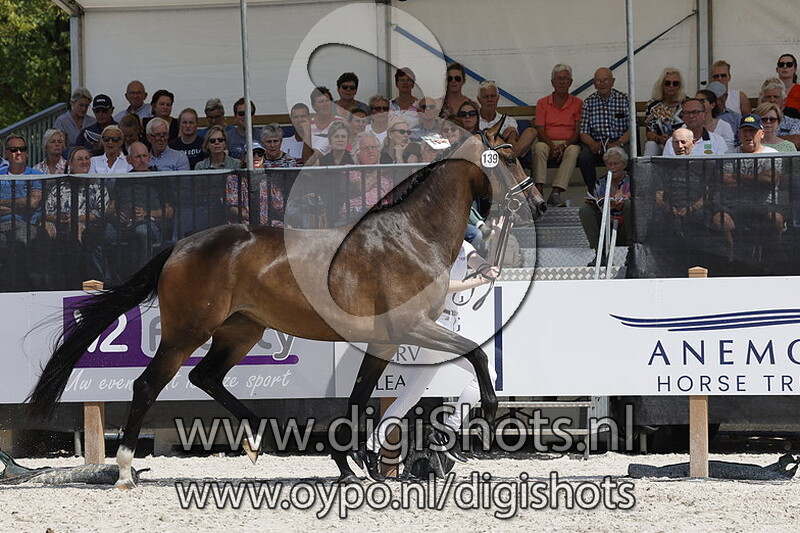 Picanory v. Escamillo