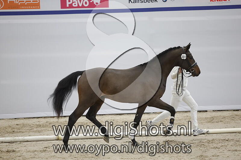 Pokerface F v. For Romance - 351