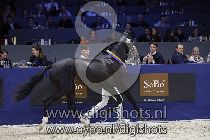 Rohan v. Jameson Rs2 - 404