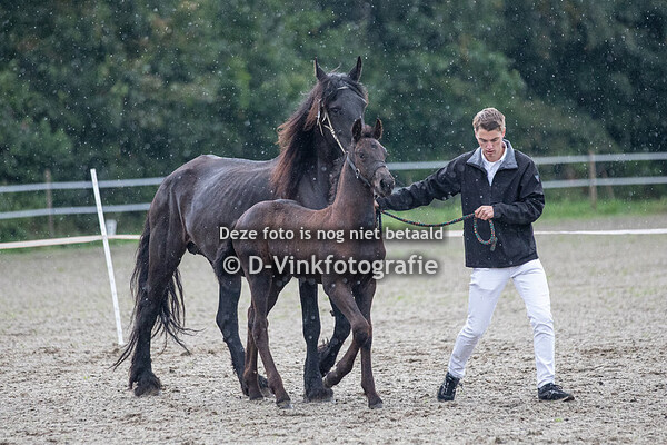 6. Vincent van de Boezem