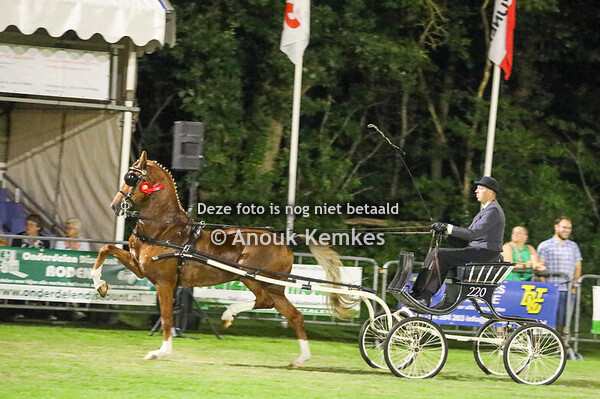 Regionaal Noord- TP Ereklasse