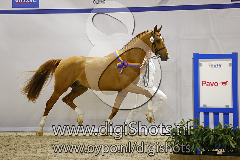 Hashtag Who Else Z v. Heartbeat