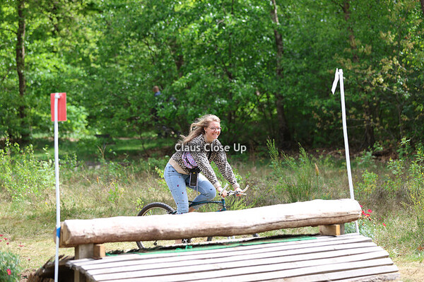 L Paarden + M Ponies