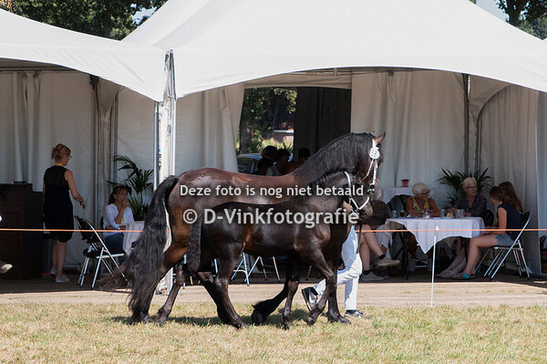 58. Gerbrand HK van de Uiterdijk