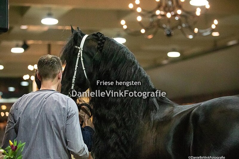 Hengstenshow Lunteren 25-02-2023 Auwert 514