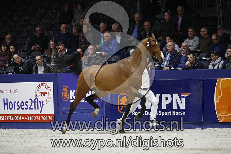 Quornet STN v. Cornet Obolensky