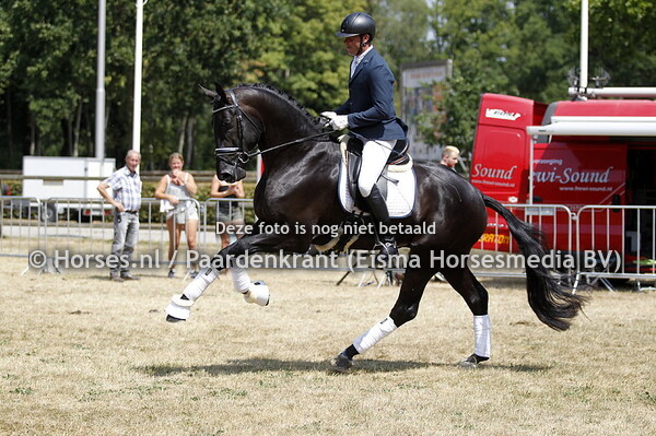 Kardieno v Dante Weltino, Rom Vermunt