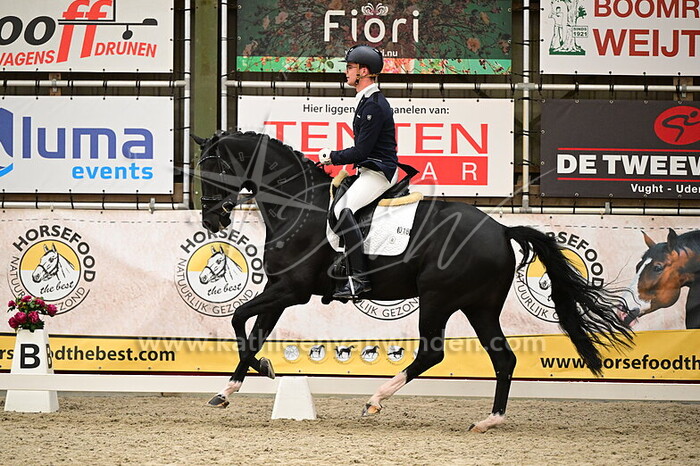 Marten Luiten - Paradise IMP ST-J