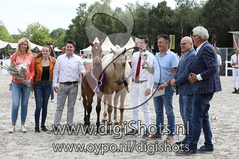 172 Royal Air v. Alexandro