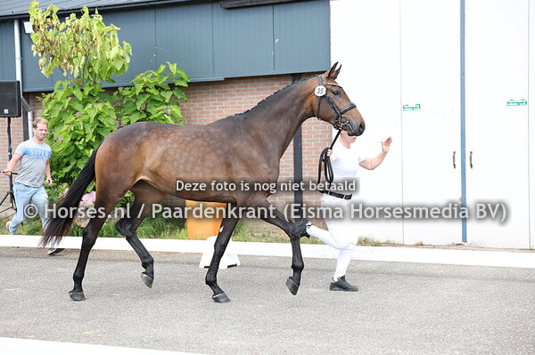 35 Roxxy (So Perfect x Cireina UB-40)