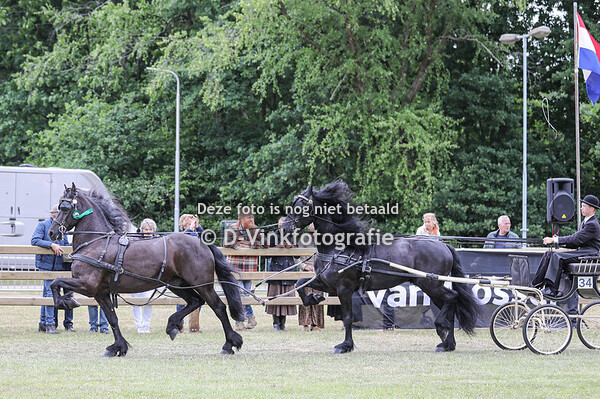 20. Kampioenschap tuigpaarden in tandemaanspanning