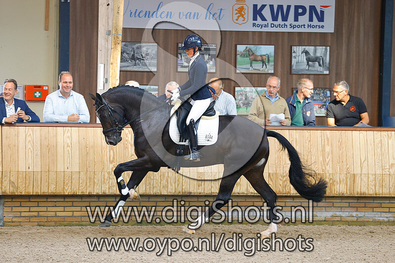 Mamorkus v. Ferdinand