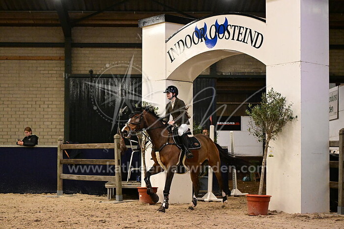 Roos Louwens - Fruitcake van www.olland.biz