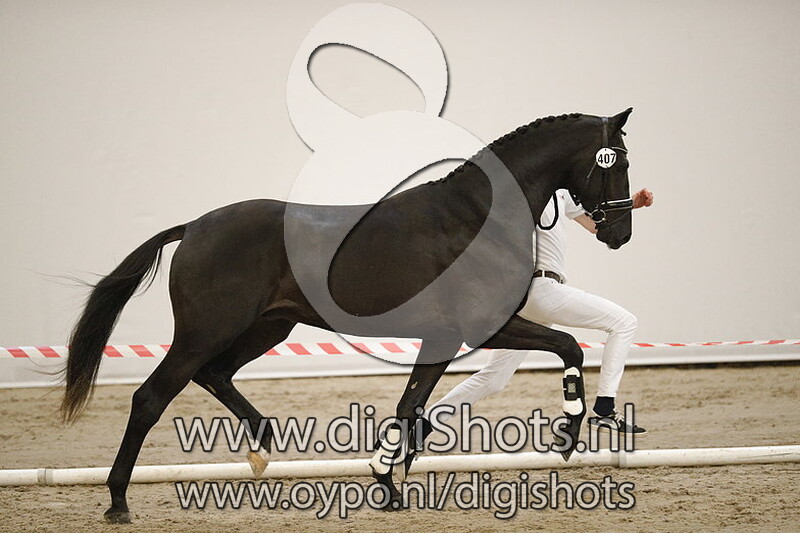 Mumoulin Hvr v. Franklin