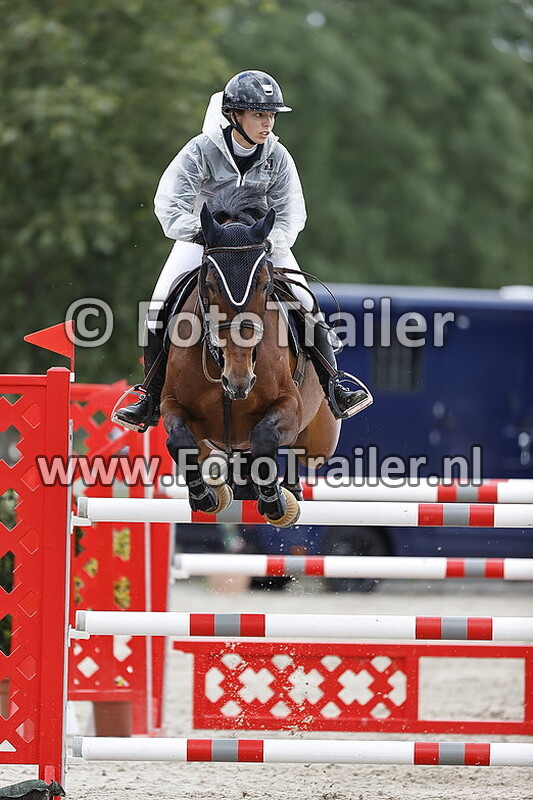 constanca de almeida fernande