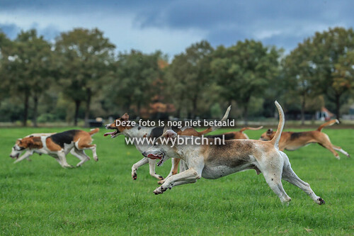 1 Zorgvlied 15-10-2025