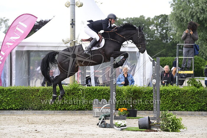 Sjoerd Kommers - Miss Holivia VDL